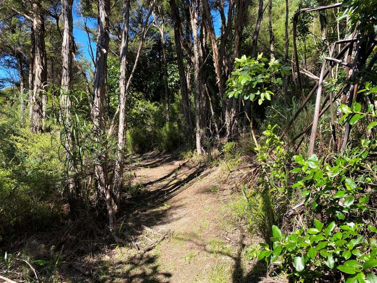 35 Gibbs Road Collingwood_18