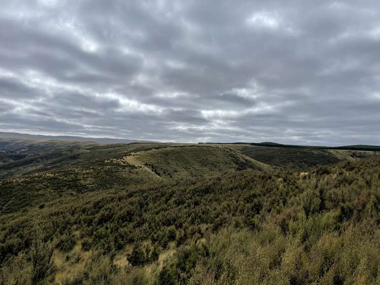 732 Beaumont Highway Clutha_12