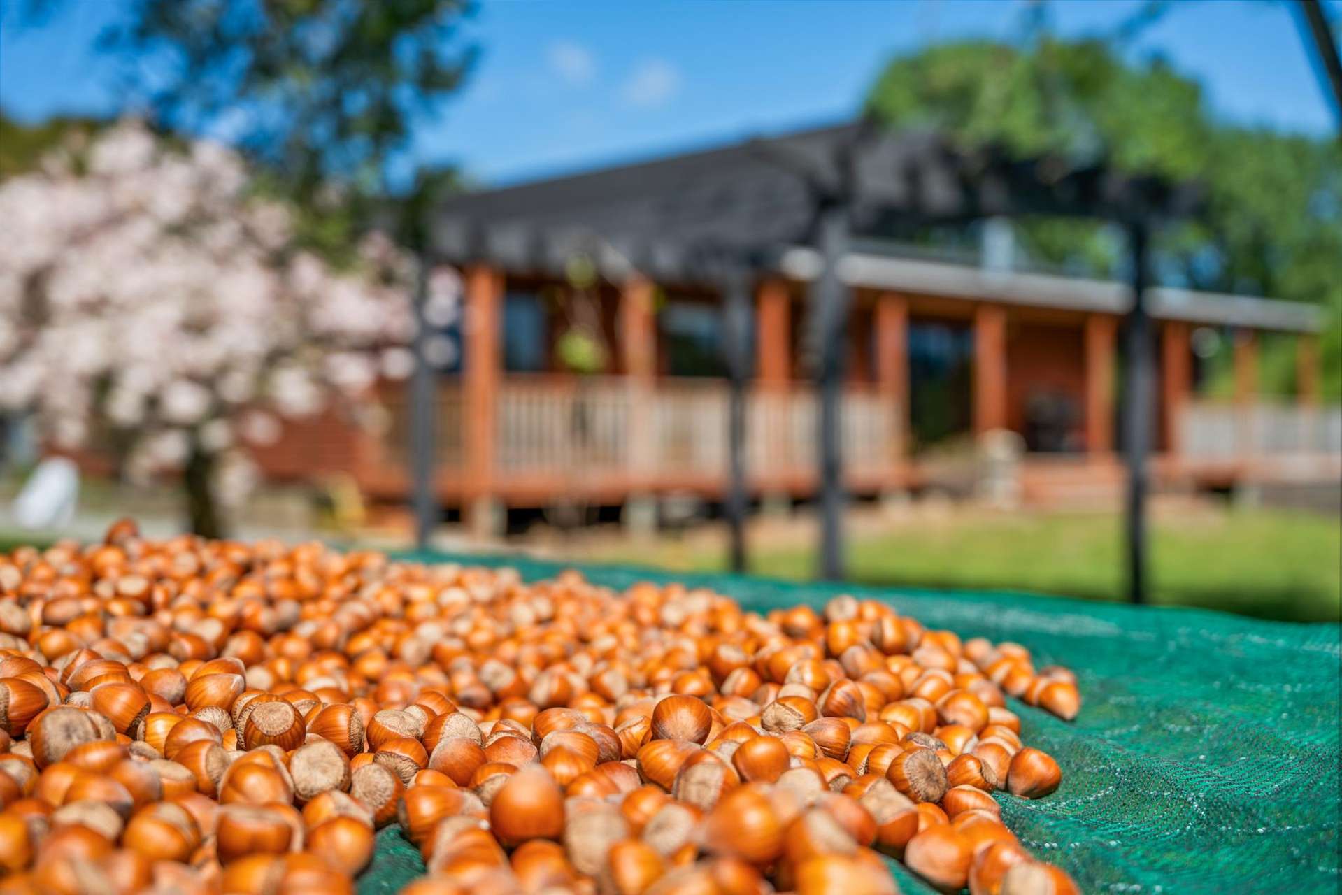 191 Tyntesfield Road Waihopai Valley_0