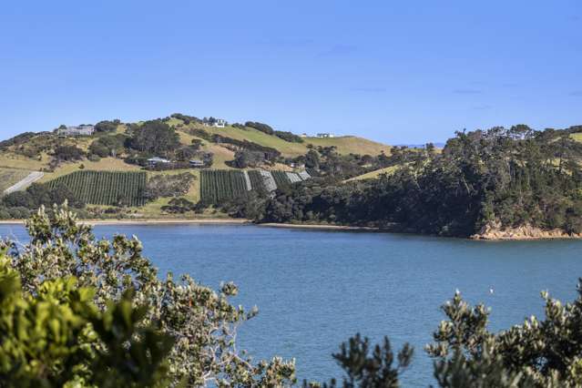 Waterfront on Waiheke