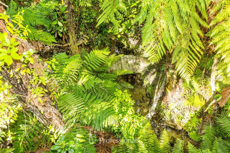 6/99 Horoeka Street Stokes Valley_25