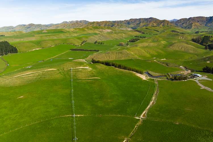 Marama Road Seddon_9