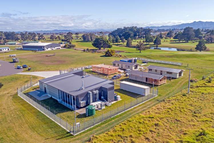 38 Commerce Place Awapuni_5