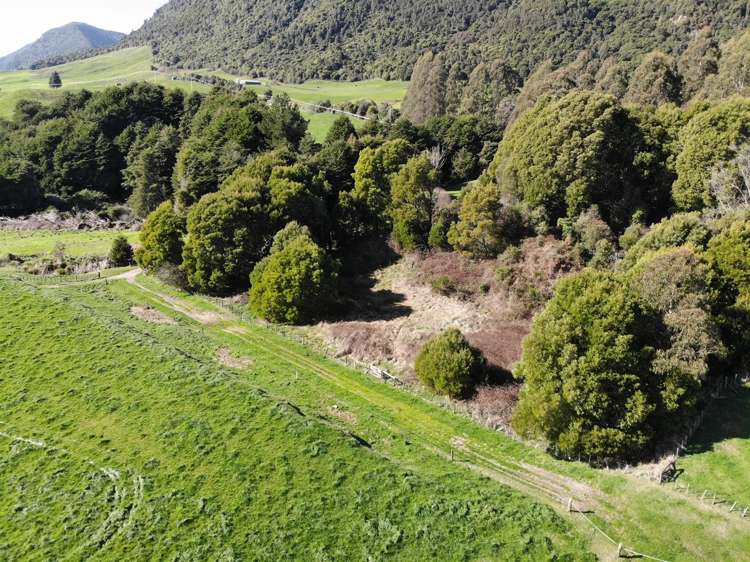 850 Te Kopia Road Waikite Valley_10