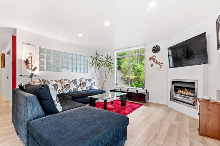 276B Smyth Road Dome Forest_14