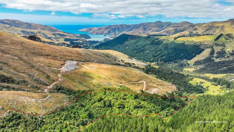 1467 Western Valley Road Port Levy_14