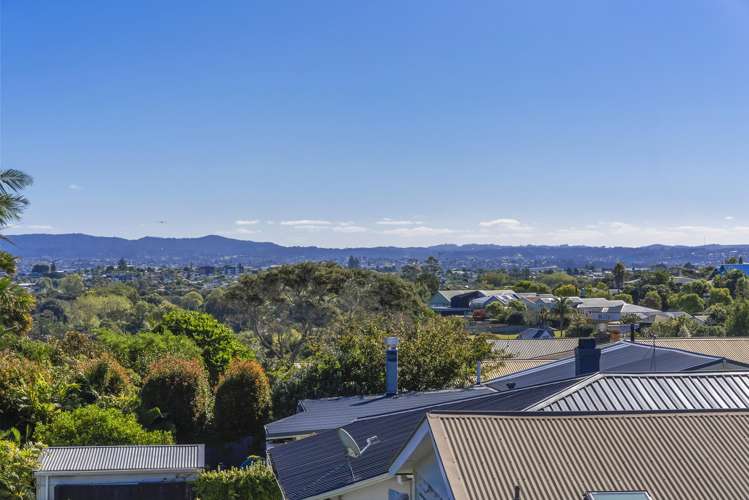 22 Tuarangi Road Grey Lynn_23