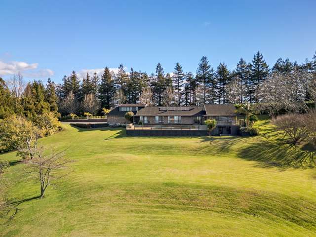 340B Pahoia Road Whakamarama_2