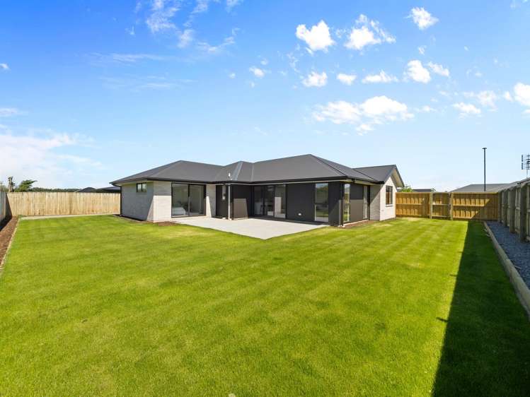 15 Orwell Way Hampstead_19