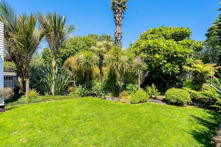 50 Marsden Avenue Mount Eden_18