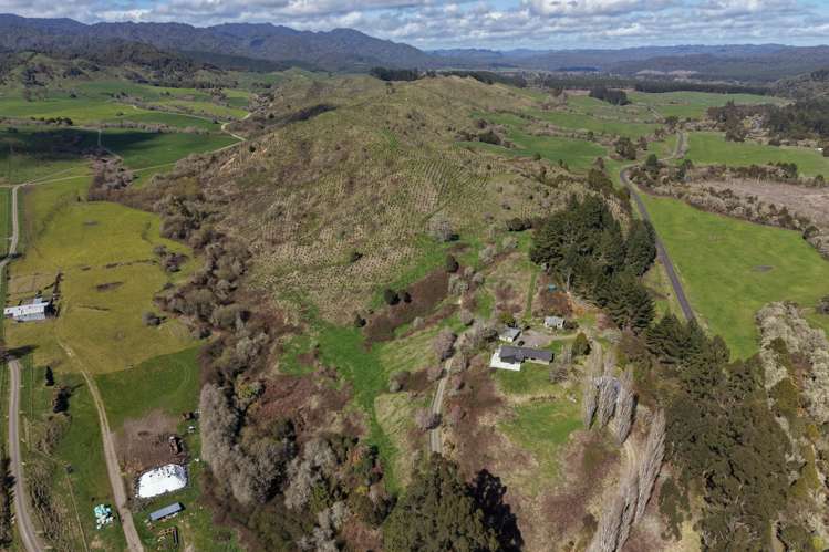 283 Minginui Road Galatea_35