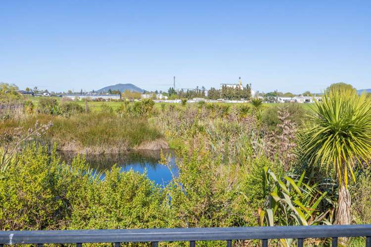 255 Beckett Drive Te Awamutu_20