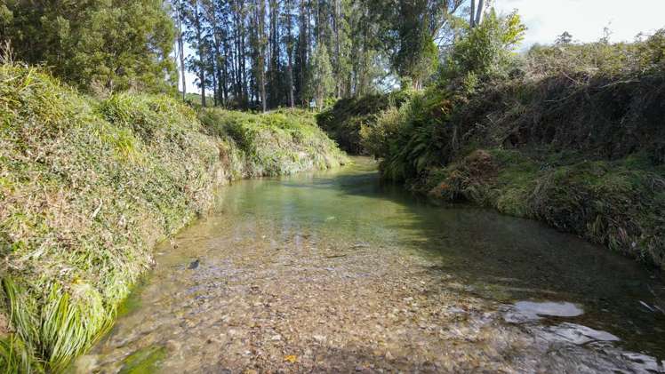 80 Hampson Place Hamurana_32