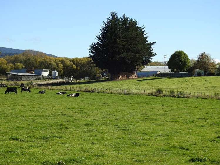 31 Waikouro Wairio Road Otautau_20