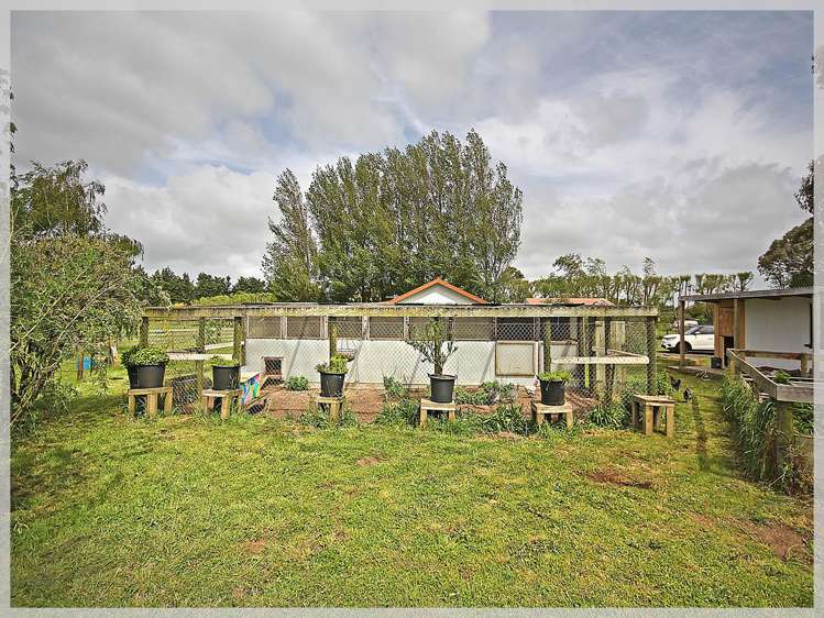 296 Motuiti Road Foxton_26