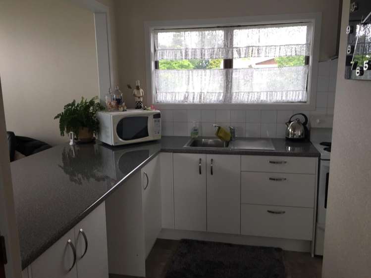 4 Temm Road Te Poi_1