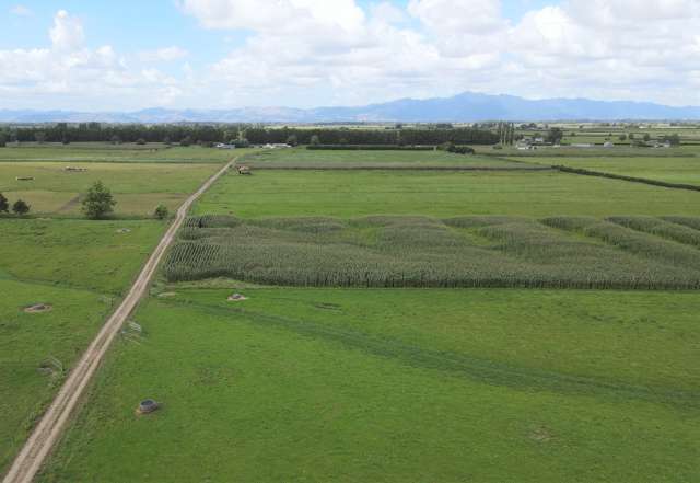 333 Manhire Road Morrinsville_4