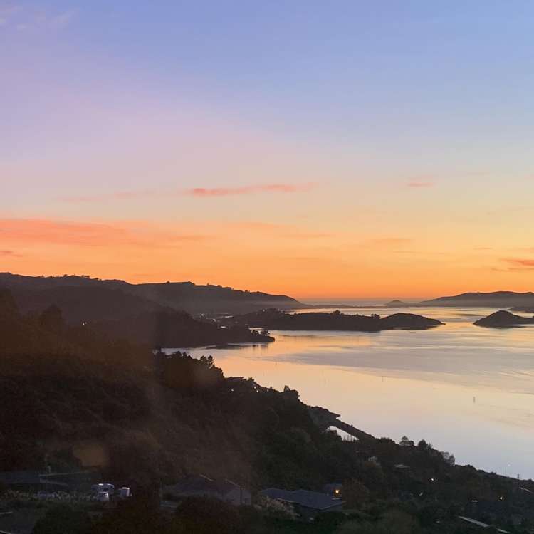 25 Kakapo Street Saint Leonards_27