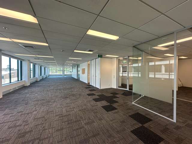 101 Carlton Gore Road Newmarket_1