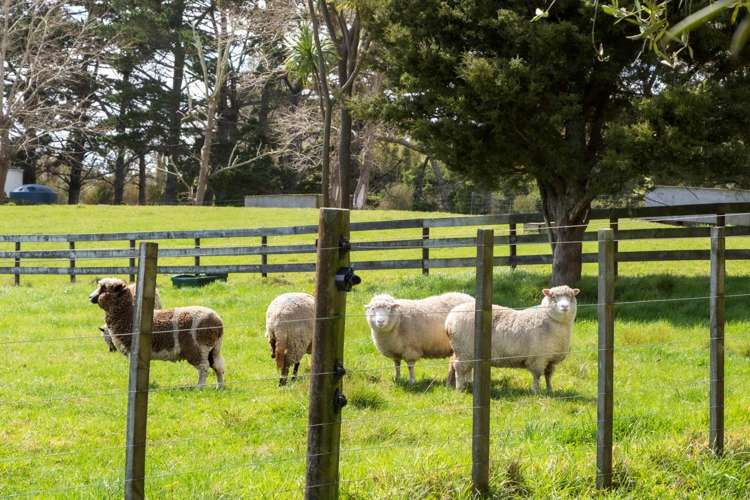 79 Evans Road South Head_31