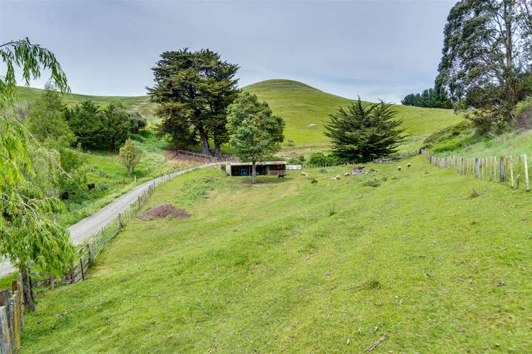 133 Ongaonga Road Waipawa_18