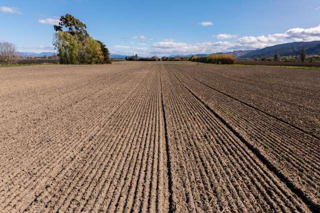 150 Selmes Road Rapaura_2