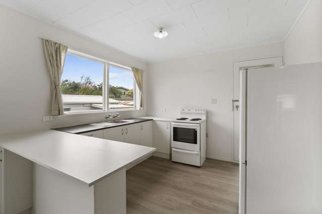 6B Robert Mckeen Otaki Beach_2