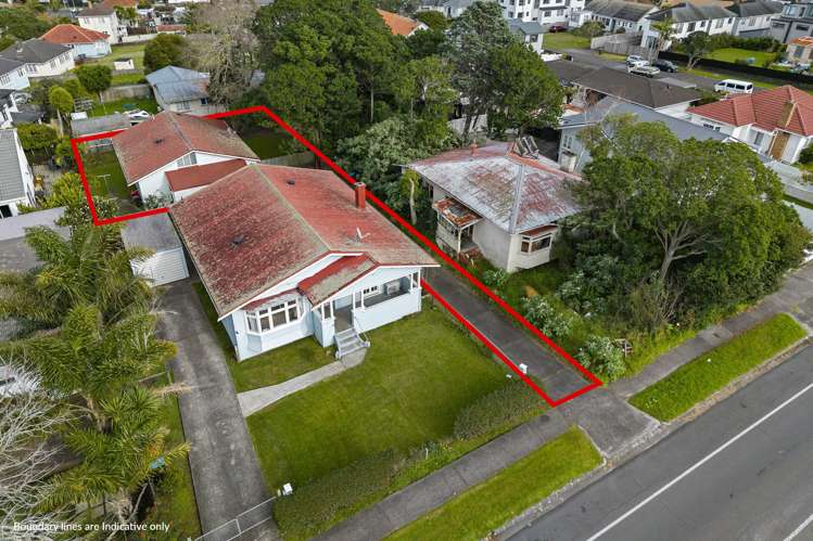 299a Mount Albert Road_5