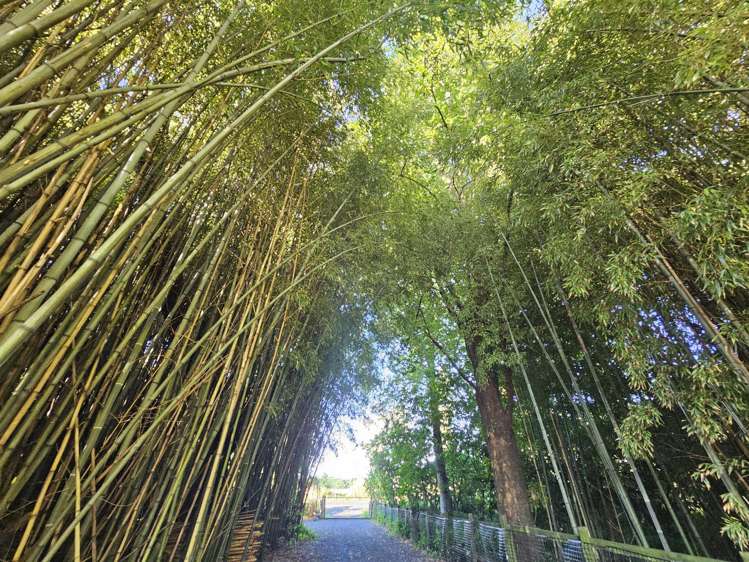 180 Kimberley Road Levin_22