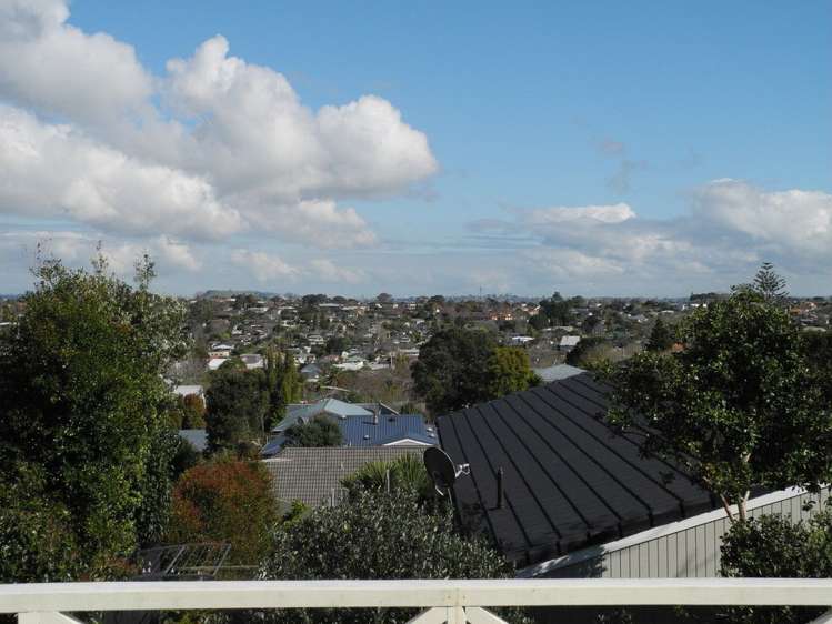 163 Cook Street Howick_11