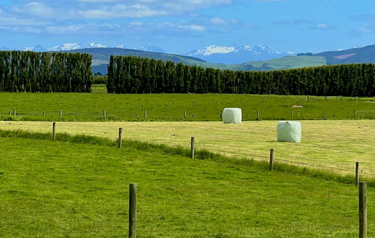 13 Yellowbluff Road Otautau_43