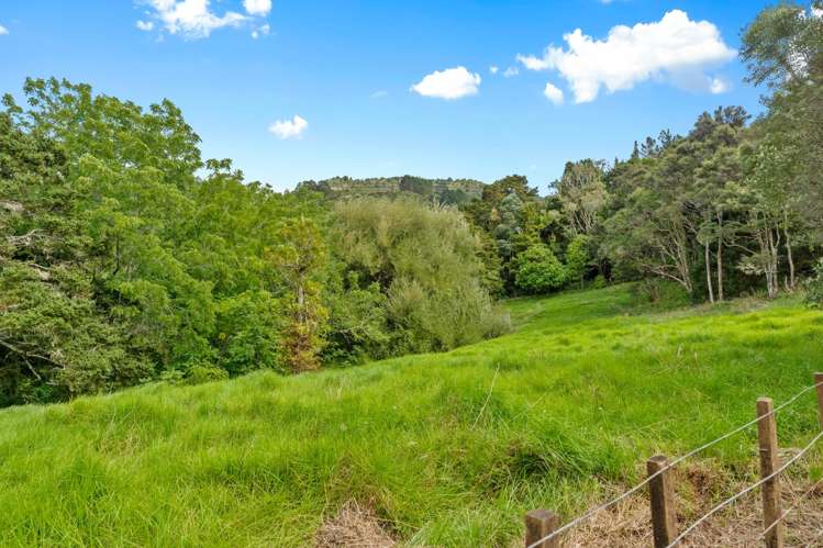 2395f State Highway 1 Brynderwyn_15