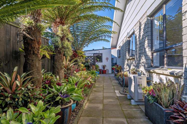 12b Hikurangi Street Whakatane_19