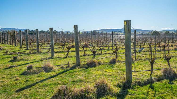 148 Omihi Road Waipara_20