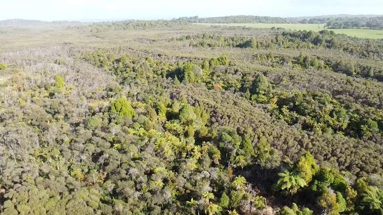 Lot 5 Wilsons Lead Road Cape Foulwind_6