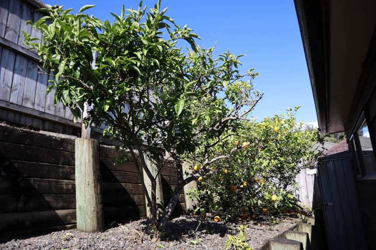 5 Mandival Avenue Flat Bush_19