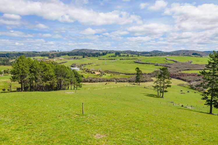 83 Caprine Road Kerikeri_1