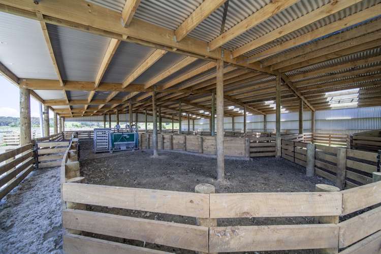 235 Otope Road Dannevirke_7