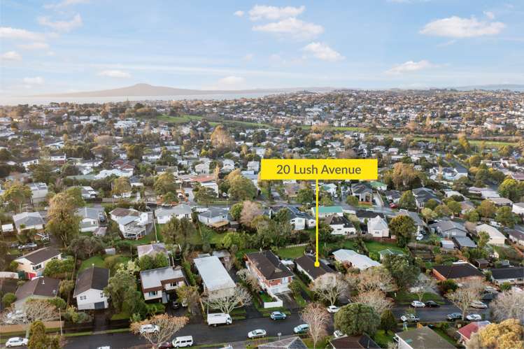 20 Lush Avenue Saint Johns_9