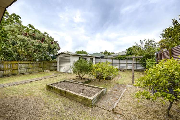 34 Ossian Street Ahuriri_11
