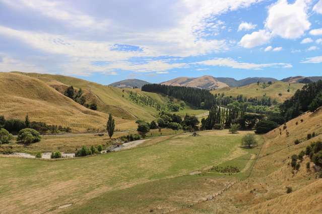 8401 Route 52 Dannevirke_2
