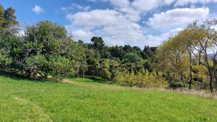 Lot/1 Arcadia Road Paparoa_7
