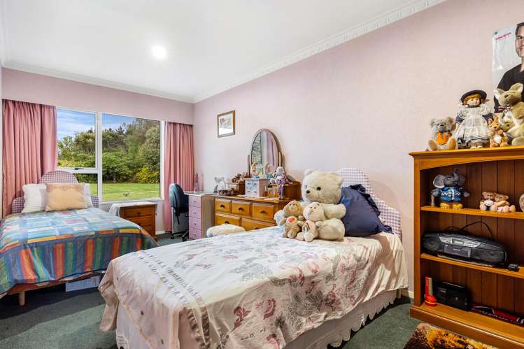 295 Dixons Road Loburn_12