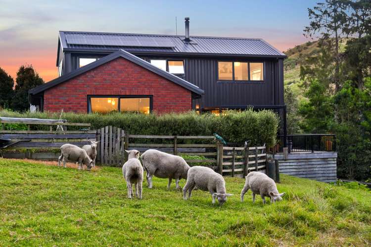 50 Holcombrooke Lane Welcome Bay_6