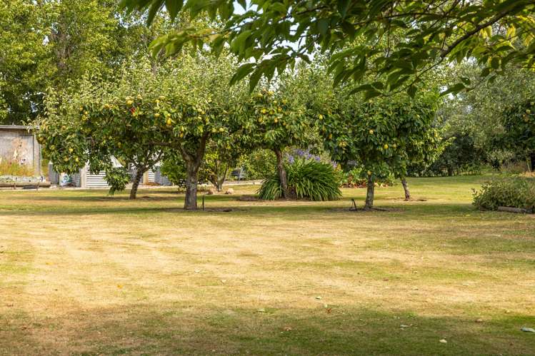 145 Giffords Road Rapaura_21