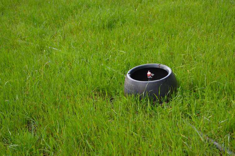 227 Overtons Road Scargill_6