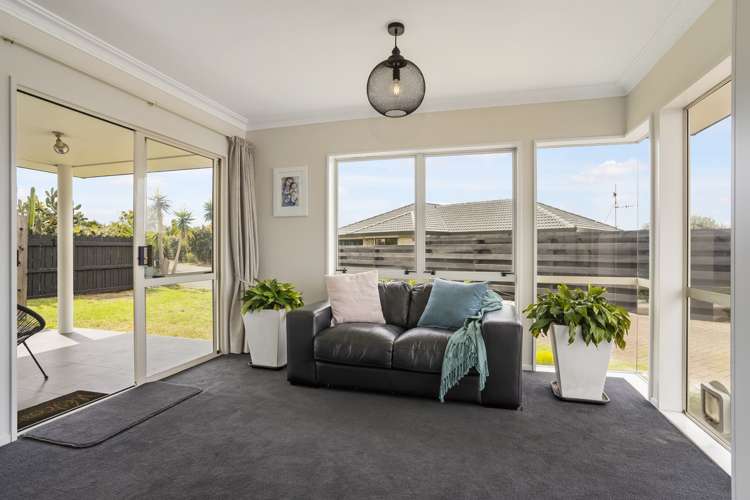 24b Hibiscus Avenue Mount Maunganui_6