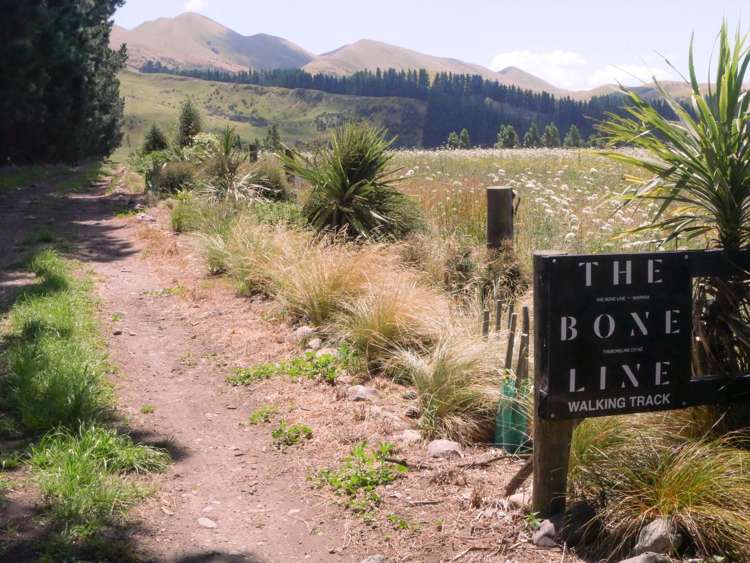 376 Ram Paddock Road Waipara_6