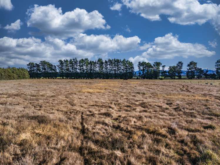 2724 South Eyre Road West Eyreton_6