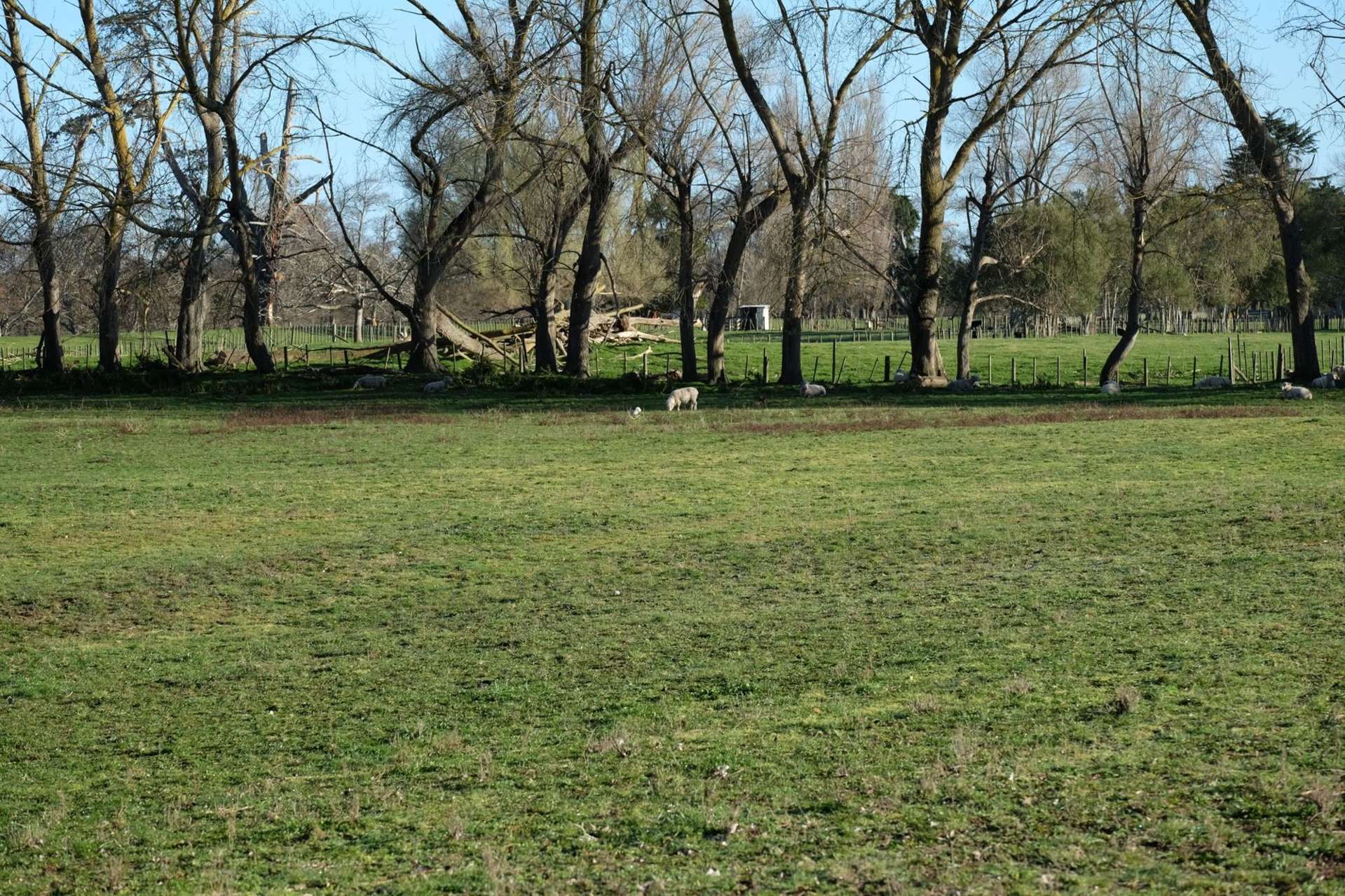 37 Armitage Road Huntly_0